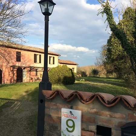 Agriturismo Il Pettirosso Affittacamere Forlì Esterno foto