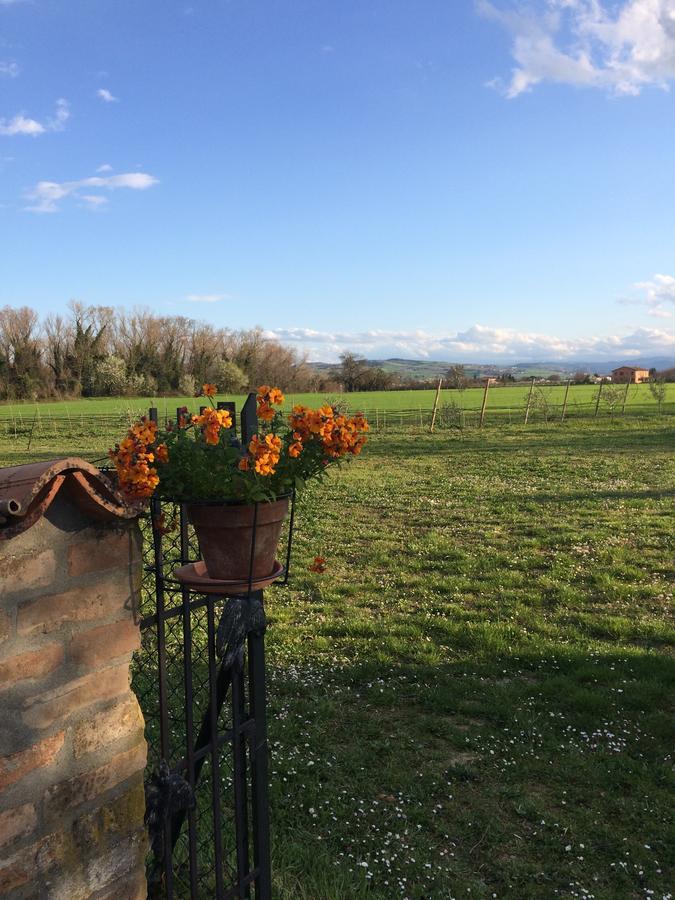 Agriturismo Il Pettirosso Affittacamere Forlì Esterno foto